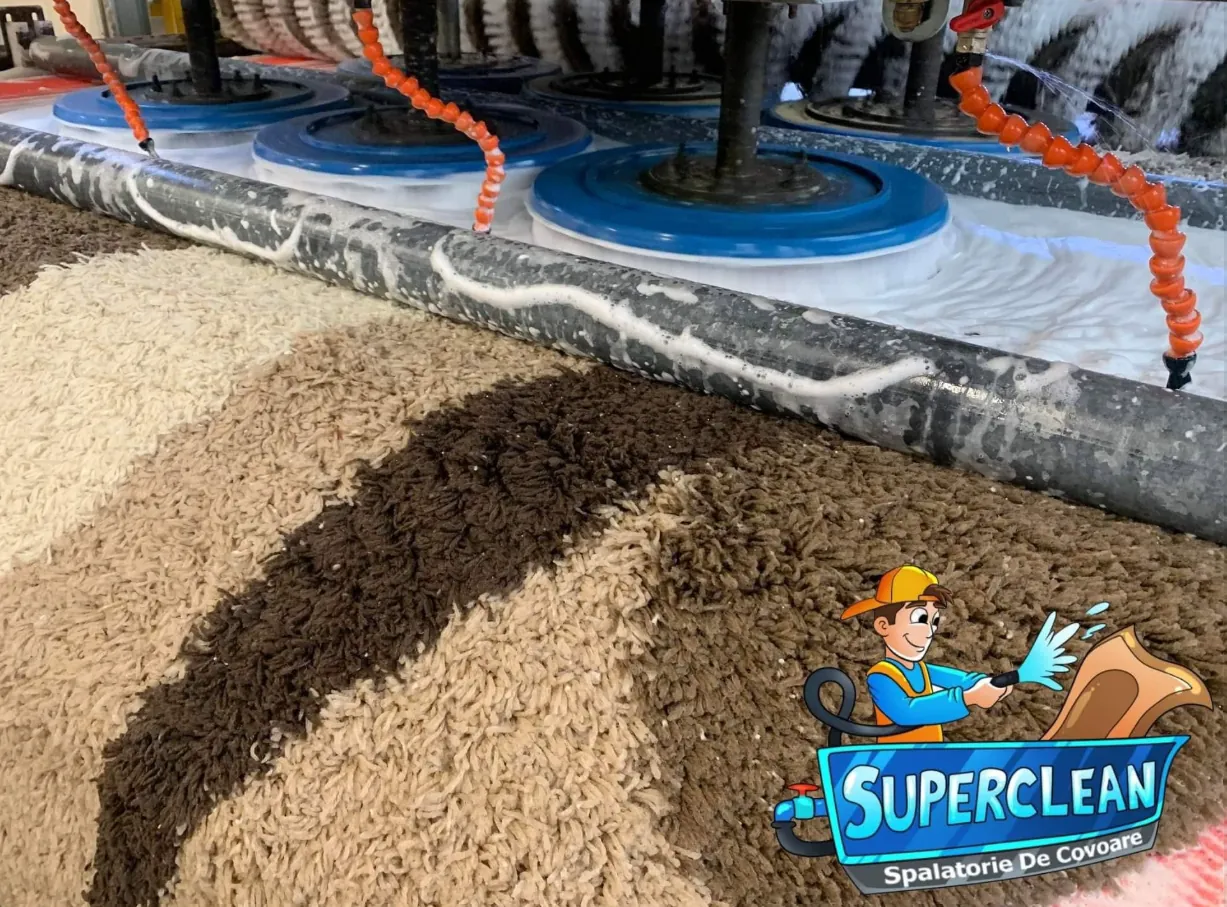 Covor shaggy spălat cu spumă activă și perii rotative în spălătoria SuperClean Satu Mare